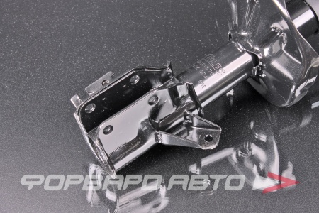 Купить Амортизатор передний, левый MILES DG21676