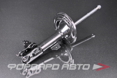 Купить Амортизатор передний, левый MILES DG11605