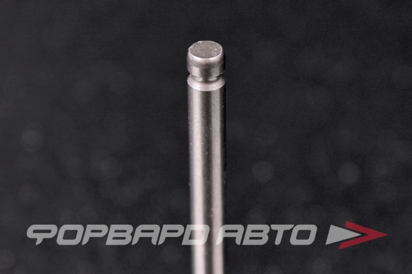 Клапан выпускной HAVAL 1007012ED01