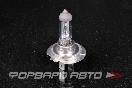 Купить Лампа H7 24V 70W 1600 Lm AVANTECH AB0020