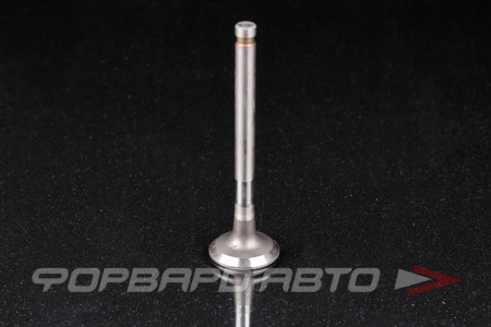 Купить Клапан выпускной N-ROCKY TB-60-0