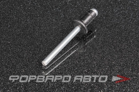 Купить Заклепка лючка бензобака TOYOTA 90269-06017