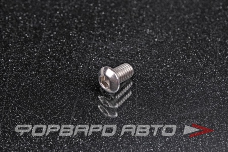 Купить Винт полукруглый под внутренний шестигранник М6*10 <> (iSO 7380-1)A2