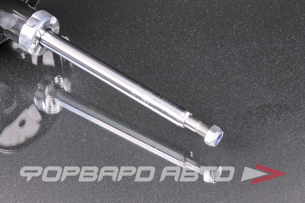 Амортизатор задний, правый MILES DG21039-01