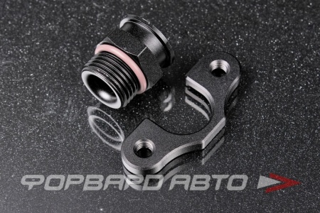 Купить Адаптер FPR/FPD - 8AN ORB - M6 RADIUM ENGINEERING 20-0301