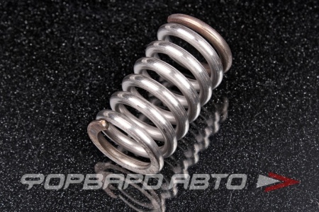Купить Пружина крепления глушителя d16,8/24*41мм FA1 105-902