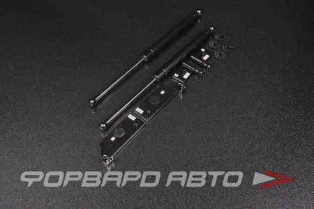 Купить Амортизаторы капота HONDA Accord 98-02 AUTOBAHN88 