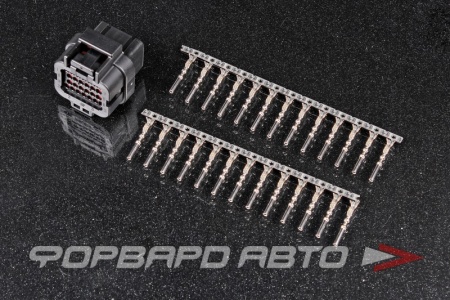 Купить Разъем 26 way 20 AWG (SS10-SKT2) Superseal 1.0 Series (Keying 2) TE CONNECTIVITY 3-1437290-8