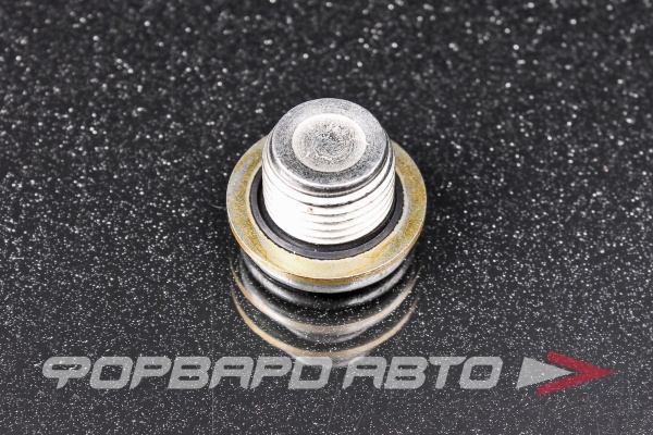 Пробка сливная 16*1,5 масляного поддона (+шайба) CX 220100s