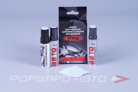 Купить Набор для ремонта царапин и сколов Серебристый (обезжир+краска+лак+салфетки) ЭТЮД 41