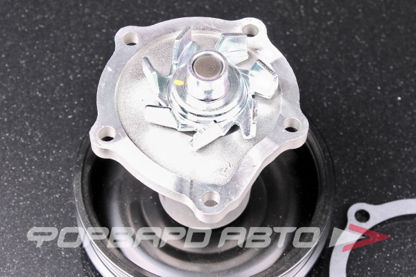 Помпа SPEEDMATE SM-WPG012