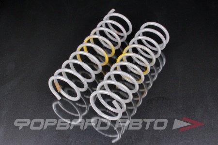 Купить Пружины ВАЗ 2101 07  задние (2шт) АвтоВАЗ 21010-2912712-00