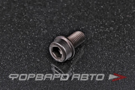 Купить Винт цилиндр. с внутренним шестигранником М10*20 с фланцем, пр.10.9 <> АРТ 88912