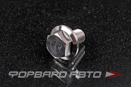 Купить Болт М10*1,25*16 титановый с фланцем FORA TITANIUM DIN6921-10*1.25*16Ti