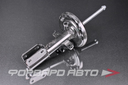 Купить Амортизатор передний MILES DG01487