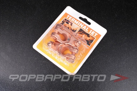 Купить Клемма аккумуляторная "±" (медь) Европейская Type 1 Китай 2967 Купить Клемма аккумуляторная "±" (медь) Европейская Type 1 Китай 2967