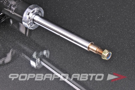 Купить Амортизатор передний, левый MILES DG11028-01