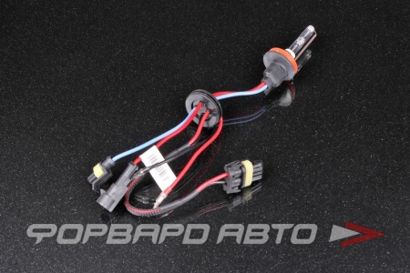 Купить Лампа ксенон H8/H11 5000K AMP SARITI 