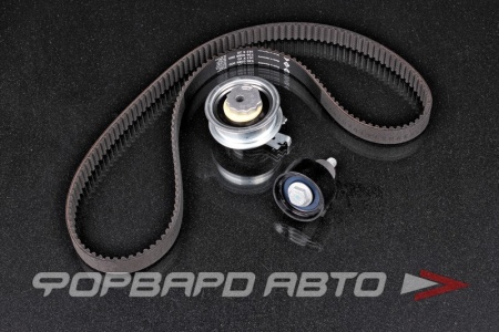 Купить Комплект ремня ГРМ (ремень, ролики, два болта) INA 530 0592 11