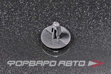 Купить Клипсы ASAM 55327