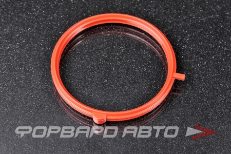 Купить Прокладка дроссельной заслонки GENERAL MOTORS 96376371