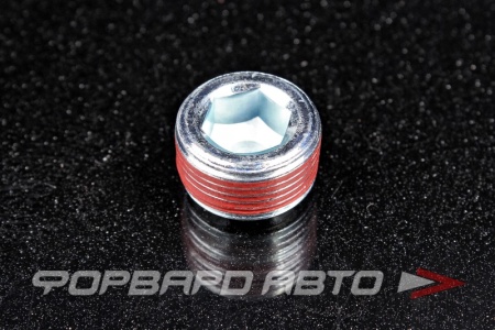 Купить Пробка сливная 22*1,5 масляного поддона, под шестигранник FA1 257.821-U-01