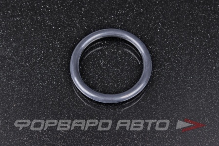 Купить Кольцо уплотнительное системы охлаждения 31,2*4,1 NOK CO5120-N0