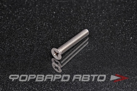 Купить Винт потай крест-шлиц нерж. М6*1*40 DIN965 A2 <> 