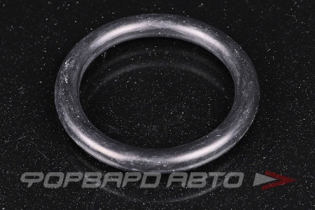 Купить Кольцо уплотнительное маслостойкое 38*6 NOK OR-06.00_038.00
