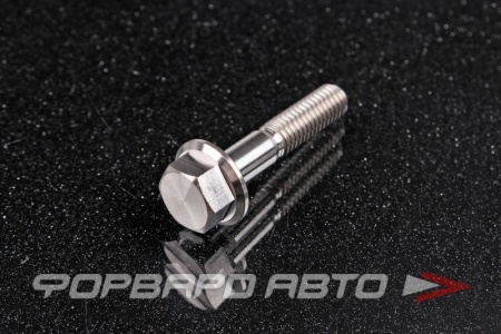 Купить Болт М6*1,0*30 титановый с фланцем FORA TITANIUM DIN6921-6*30Ti
