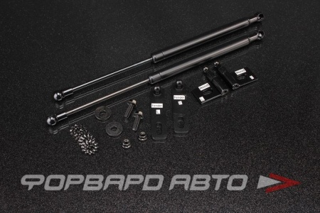 Купить Амортизаторы капота MITSUBISHI Colt Z27A AUTOBAHN88 