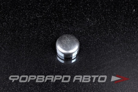 Купить Заглушка блока двигателя WPM-19mm GRI 