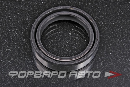 Купить Сальник 36*48*11 (б/н) рез. DC две пружины TTO D8135