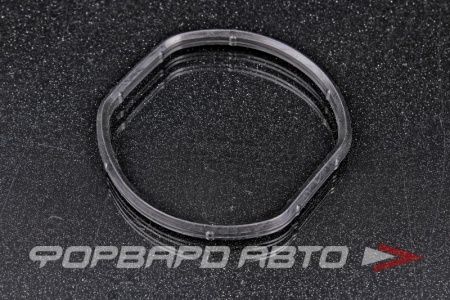 Купить Прокладка термостата GENERAL MOTORS 55351449