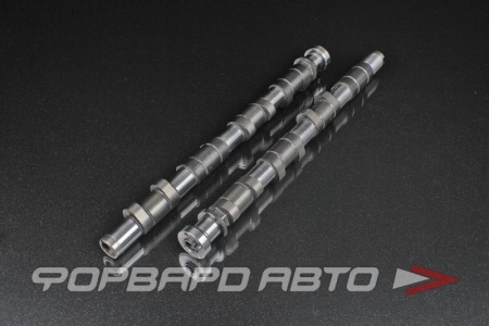 Купить Распредвалы NISSAN SR20VE 290/290 Duration, подъем 10.60 мм VVL Removed KELFORD 
