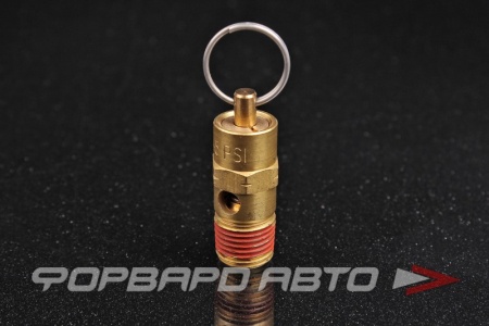 Купить Клапан предохранительный 1/4" NPT THB 