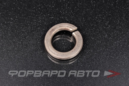 Купить Шайба гроверная D24  