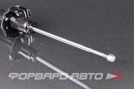 Купить Амортизатор задний MILES DG02660