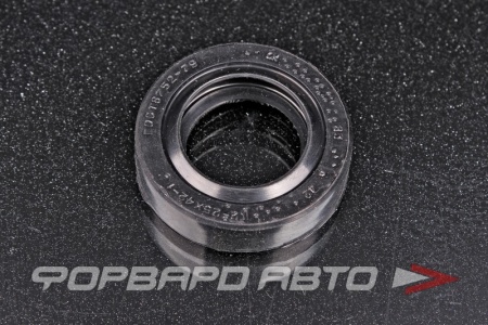 Купить Сальник 25*42*10 - 2.2 РОССИЯ 25X42X10-2.2