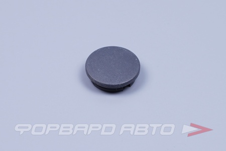 Купить Заглушка винта жабо ВАЗ 2110 (серая), заглушка сидений ВАЗ 21704 ПЛАСТИК 2110-8212772