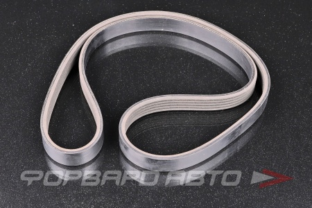 Купить Ремень поликлиновой GERMANY 5PK1170