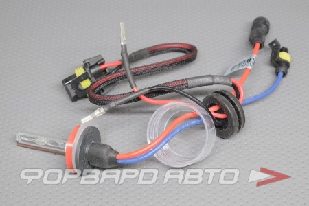 Купить Лампа ксенон H8 5000K Китай 