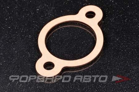 Купить Прокладка термостата TAMA P302