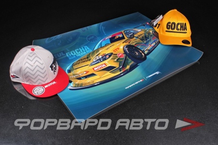 Купить Постер NGK Silvia S15 2019, ZEMLYAKOV ФОРВАРД АВТО 