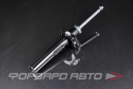 Купить Амортизатор передний MILES DG02476