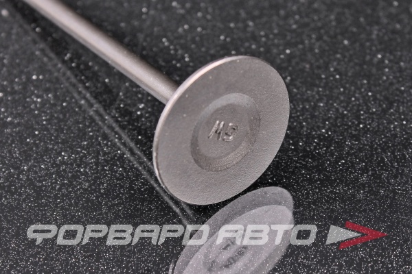 Клапан выпускной HAVAL 1007012ED01