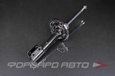 Купить Амортизатор передний MILES DG01615-01