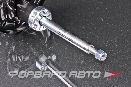 Купить Амортизатор передний, левый MILES DG111044