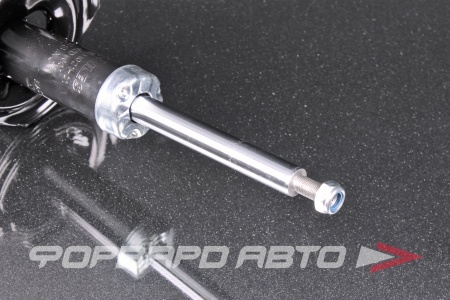 Купить Амортизатор передний, левый MILES DG11021-01