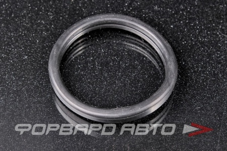 Купить Прокладка термостата (48мм) HANS PRIES 302261015